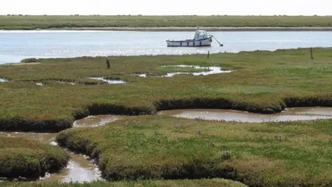 RSPB Havergate Island