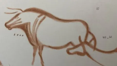 BBC Spanish cave drawing of an aurochs