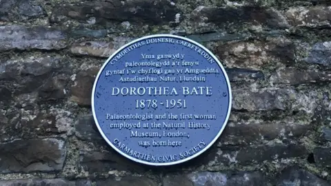 Victoria Herridge Blue plaque