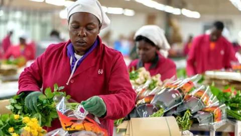 Jeroen van Loon Staff at Sian Flowers