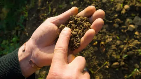 A farmer checking his soil