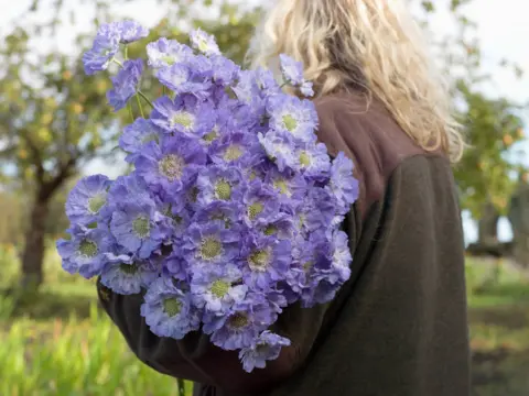 Tessa Bunney Scabious, Rowes of Guisborough, Cleveland