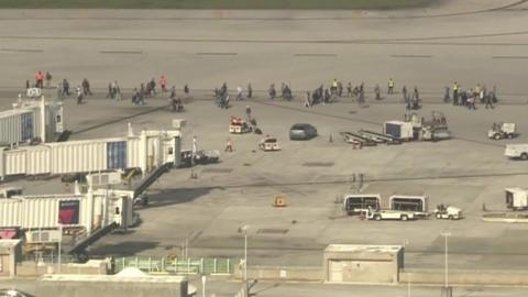 Fort Lauderdale Airport Shooting: Five People Shot Dead By Florida ...