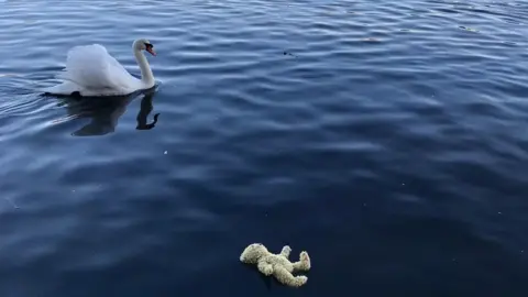 Jane Burgoyne Teddy floating in lake with swan