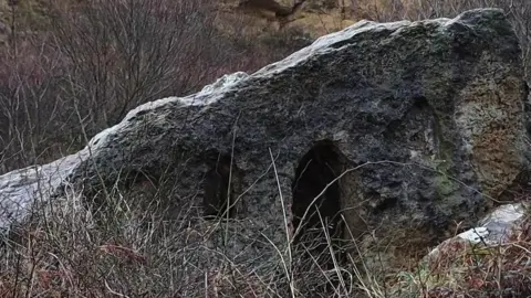 Hairy Bob's Cave