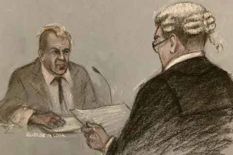 Elizabeth Cook/PA Media Court drawing of John Lydon giving evidence to barrister Edmund Cullen QC