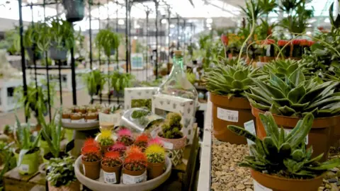 Tates of Sussex Mayberry Garden Centre in Portslade