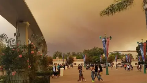 Jennifer Barnych  Photo of ash-filled sky