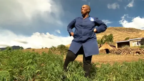 BBC Mampho Thulo in her marijuana field in Lesotho