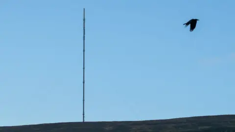 Ian Forsyth The Bilsdale transmitter