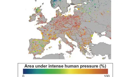 GreenFireScience map