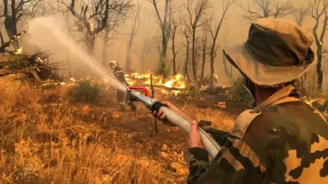 Fighting fires in Algeria