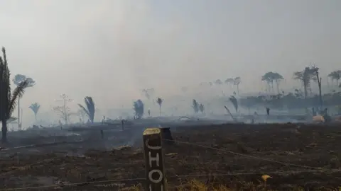 João Messias Monteiro Scorched area in the village of Machadinho D'Oeste