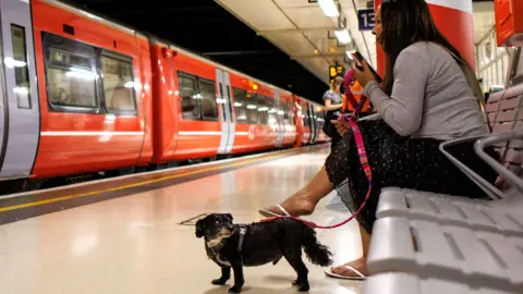 EPA A dog and its owner wait for a train at Victoria Station in London, Britain, on 31 August 2023