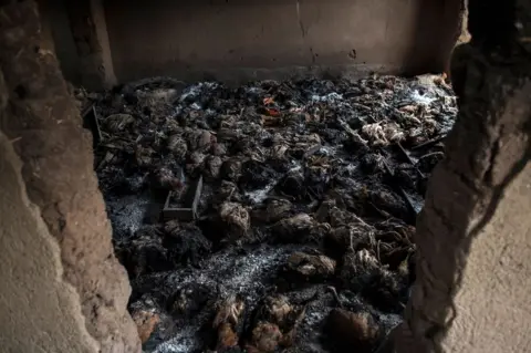 AFP Dead chickens are seen in a room of a burned down house in the village.