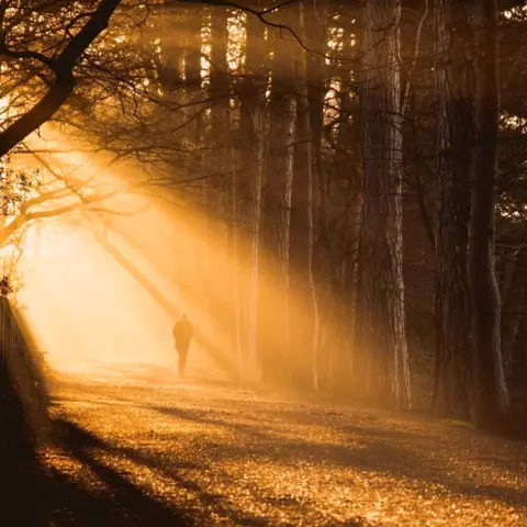 @edphillips_media Sun-soaked Sutton Park