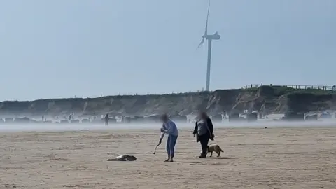 British Divers Marine Life Rescue People on beach with seal