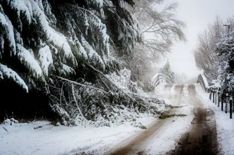 Anthony Morris A fallen tree partially blocks the road at Swinford Toll Bridge, near Eynsham