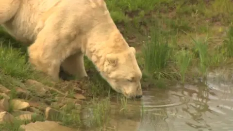 Victor drinking some water