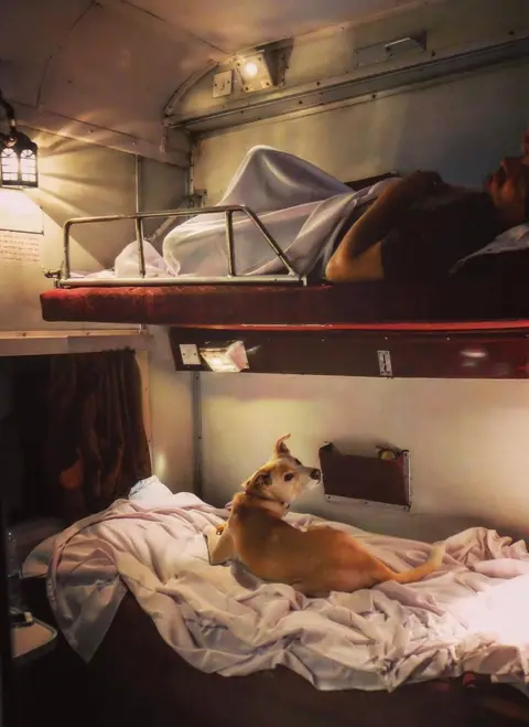 Divya Duggar A dog sits on the lower berth inside an air conditioned car in the train.