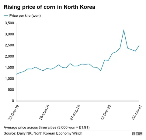 Chart shows the rising price of corn in North Korea