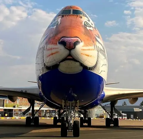 INDIA IN NAMIBIA The cheetahs are making the transcontinental journey in a modified passenger Boeing 747 plane
