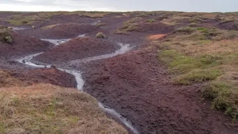 NAtional Trust peat