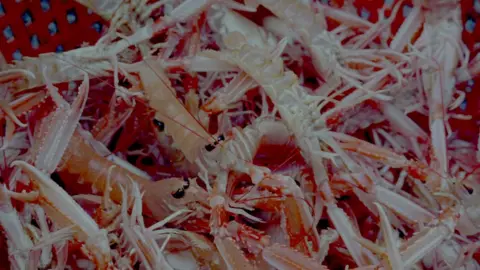 Margaret Salmon Langoustine