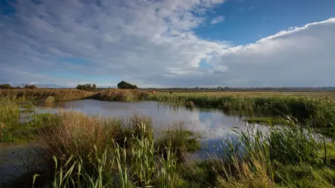 Suffolk Wildlife Trust Suffolk Broads