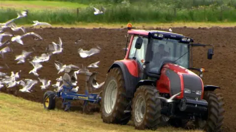 BBC Farming