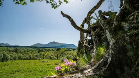 HighlandGlen/BBC Weather Watchers Spean Bridge