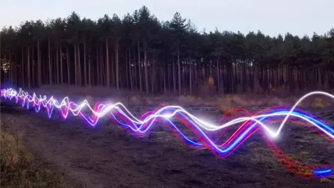 Illustration of connectivity through a forest