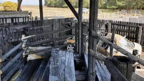 Jonathan Gerrelli Beaulieu Road