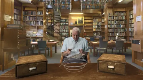 Courtesy of Doc/Fest David Attenborough features in virtual reality project Hold The World