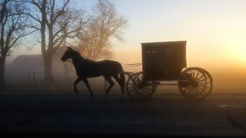 Getty Images Amish buggy