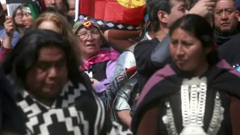 AFP Thousands of ethnic Mapuches, Chile's largest indigenous group march in support of the Mapuche resistance in Santiago on October 9, 2017