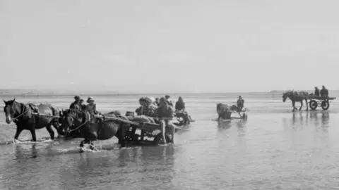 The National Library of Wales Women collecting cockles in Penclawdd on the Gower Peninsula in 1951