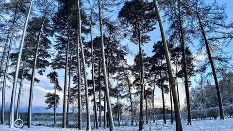 High Lions/Weather Watchers Ampleforth