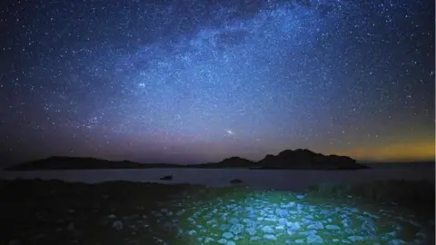 Bruce Frank Stars over a rocky grass shore