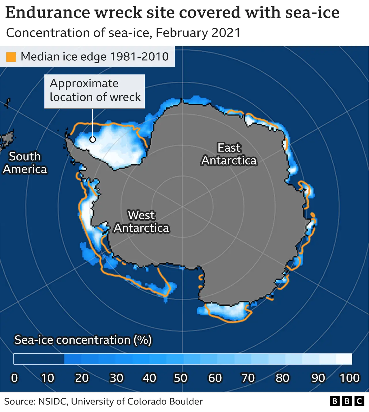 BBC Map of sea-ice