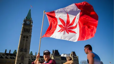 AFP/Getty Canadian flying a national flag with a marijuana leaf instead of a maple leaf