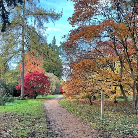 Susan Jackson SUNDAY - Harcourt arboretum