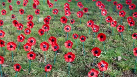 BBC Stourbridge poppies