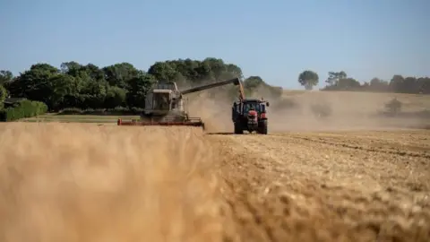 BEN STANSALL/Getty Images A combine harvest collects spring barley in a field near Washingborough, Lincolnshire