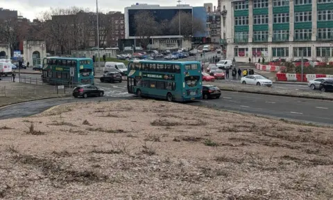 Liverpool City Council The site of the seed-spreading