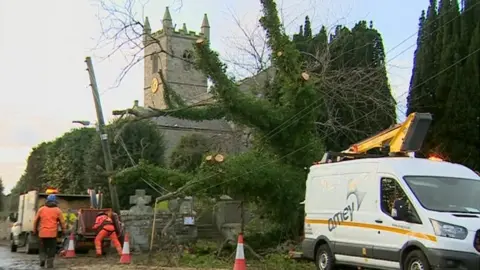 Workers bid to untangle electricity cables from a fallen tree