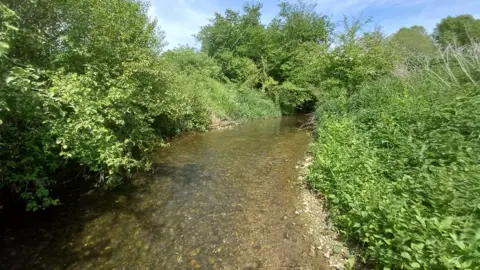 HMWT River Ash