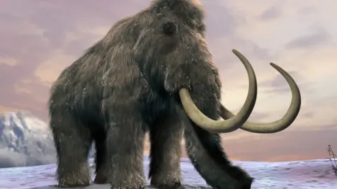 SCIENCE PHOTO LIBRARY Woolly mammoth