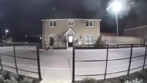 The animal is heard yelping in pain during the incident captured on a doorbell camera.