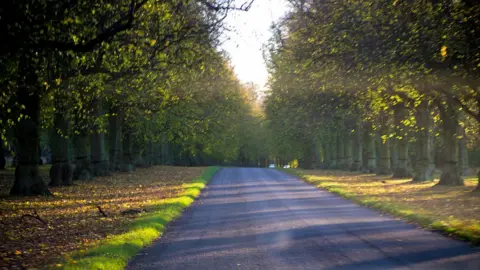 David Hinchcliffe Clumber Park